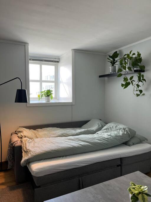 Cozy Ground Floor Apartment Tromsø Exterior foto