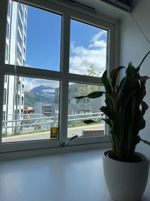 Cozy Ground Floor Apartment Tromsø Exterior foto