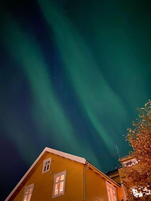 Cozy Ground Floor Apartment Tromsø Exterior foto