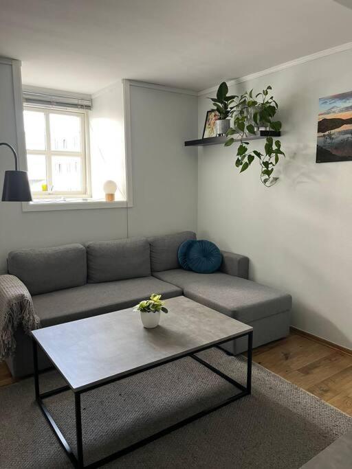 Cozy Ground Floor Apartment Tromsø Exterior foto