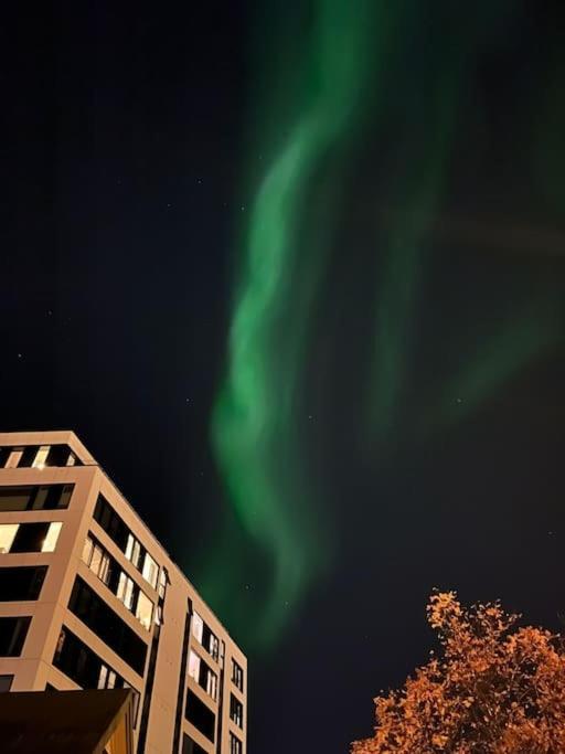 Cozy Ground Floor Apartment Tromsø Exterior foto